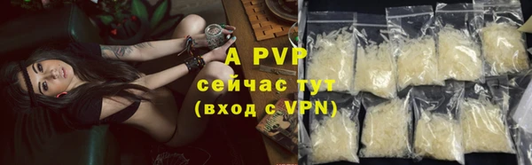 apvp Володарск