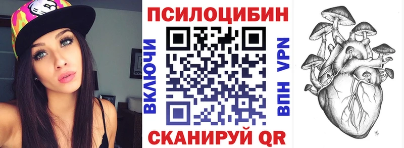Купить  Судак  Галлюциногенные грибы GOLDEN TEACHER 